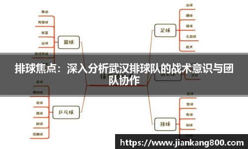  芒果体育官方首页网址
