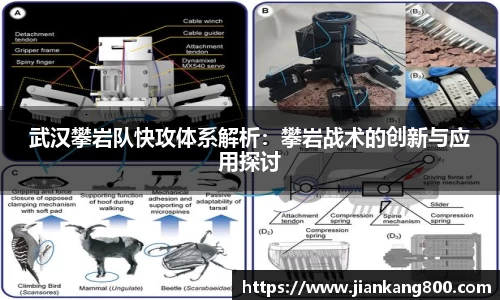  芒果体育官方网站